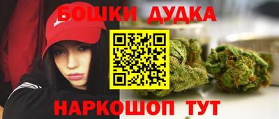 дживик Будённовск