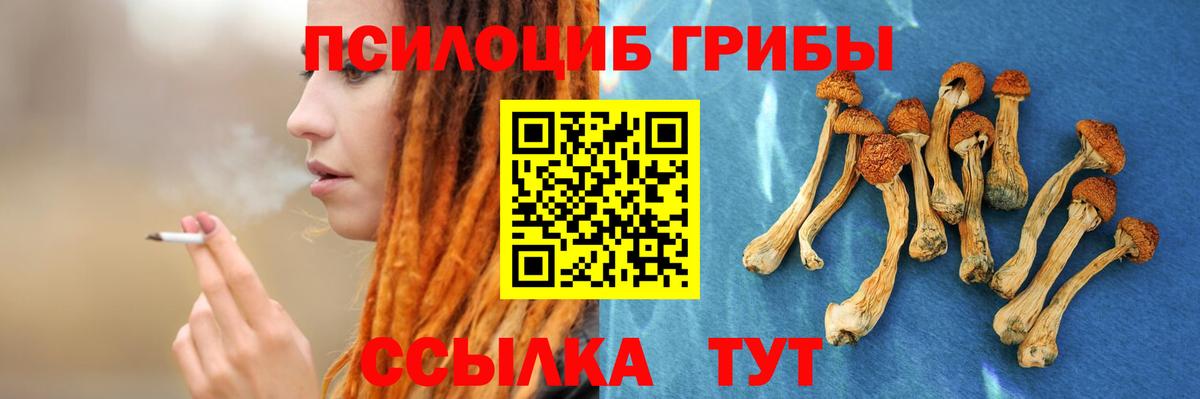 Саров  Псилоцибиновые грибы Magic Shrooms  Вход с VPN 