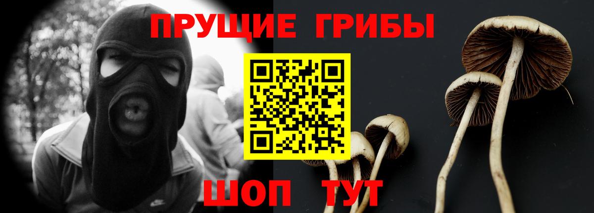 Псилоцибиновые грибы Psilocybine cubensis Саров