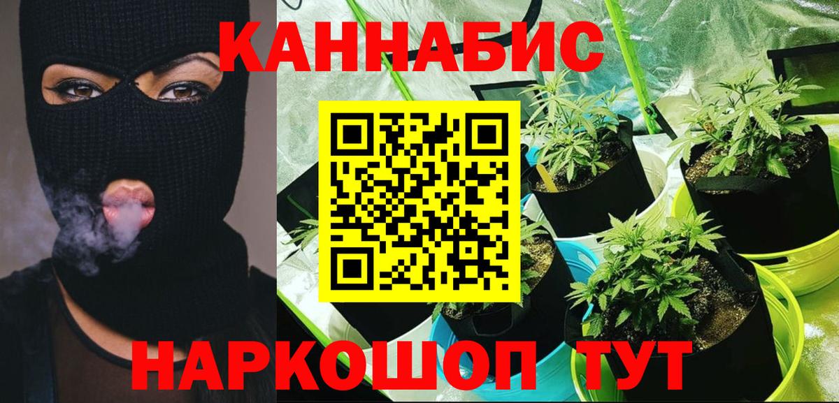 Бошки марихуана сатива Саров